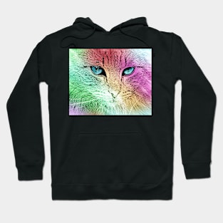 Rainbow Cat Hoodie